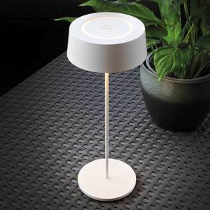 Eco-Light LED stolní lampa Cocktail, na baterii, dim, bílá obraz