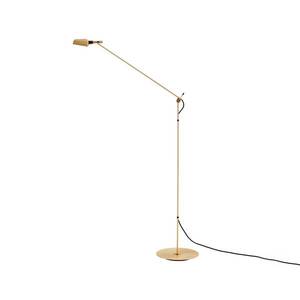 Carpyen LED stojací lampa Tema, nastavitelná, zlatá obraz