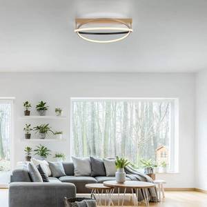 Q-Smart-Home Paul Neuhaus Q-Beluga LED stropní světlo, mosaz obraz