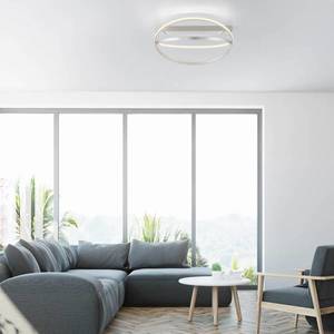 Q-Smart-Home Paul Neuhaus Q-Beluga LED stropní světlo, ocel obraz
