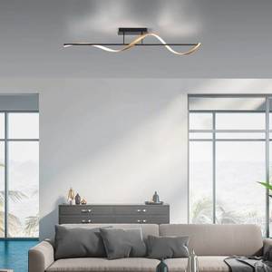 Q-Smart-Home Paul Neuhaus Q-Swing stropní světlo antracit/mosaz obraz
