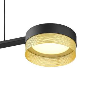 HELL LED závěsné světlo Mesh 3x, stmívač, černá/zlatá obraz