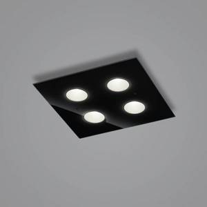 Helestra Helestra Nomi LED stropní světlo 38x38cm dim černá obraz