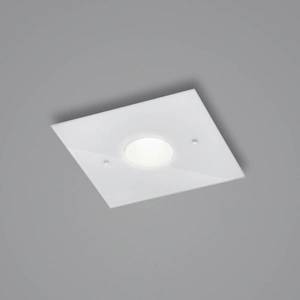 Helestra Helestra Nomi LED stropní světlo 23x23cm dim bílá obraz