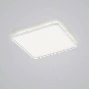 Helestra Helestra Vesp LED panel backlight 61x61cm bílá obraz