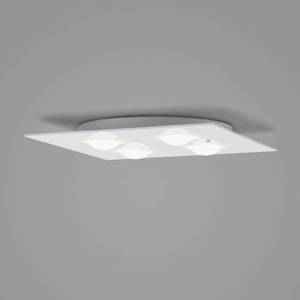 Helestra Helestra Nomi LED stropní světlo 38x38cm dim bílá obraz
