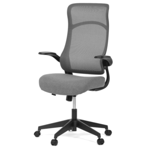 Kancelářská židle BENNY černá/šedá obraz