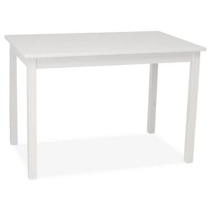 Jídelní stůl REBER 110x70 cm, bílá obraz