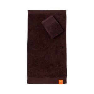 Faro Froté ručník AQUA 30x50 cm hnědý obraz