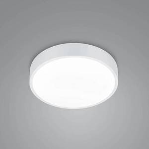 Trio Lighting Stropní svítidlo LED Waco, CCT, Ø 31 cm, matná bílá obraz