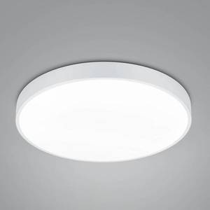 Trio Lighting Stropní svítidlo LED Waco, CCT, Ø 49, 5 cm, matná bílá obraz