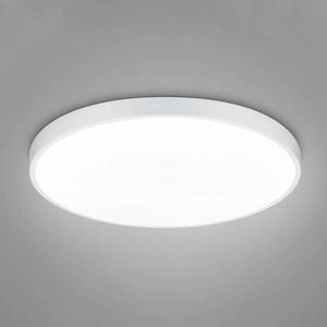 Trio Lighting Stropní svítidlo LED Waco, CCT, Ø 75 cm, matná bílá obraz