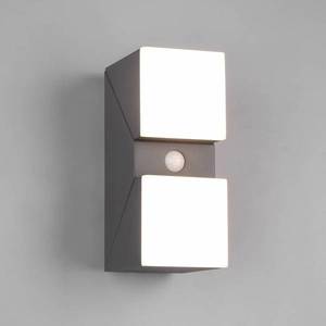 Trio Lighting Venkovní nástěnné svítidlo LED Avon, dvousvětelné, senzorové obraz