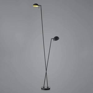 HELL LED stojací lampa Samy 2 světla 180cm černá/zlatá obraz