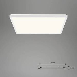 Briloner LED stropní svítidlo Slim S stmívatelné CCT bílé 42x42cm obraz