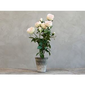 Dekorace umělá růžová růže v květináči Old - 52 cm 39017300 (39173-00) obraz
