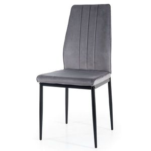 Jídelní židle OTUM šedá/černá obraz