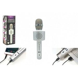 Teddies Mikrofon karaoke Bluetooth, stříbrná, na baterie, s USB kabelem obraz