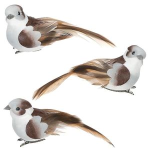 Ptáček s klipem bílo-hnědá, 3 ks obraz