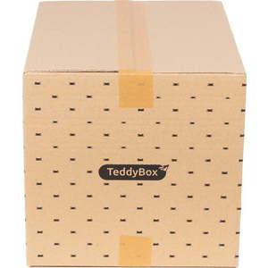Sada 2 béžových úložných boxů Compactor Teddy, 42 x 30 cm obraz