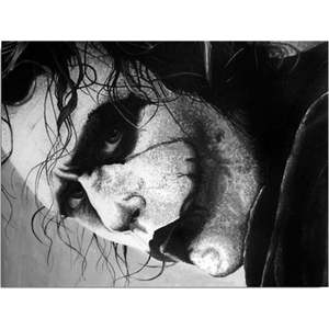 Nástěnný obraz na plátně Joker, 40 x 30 cm obraz