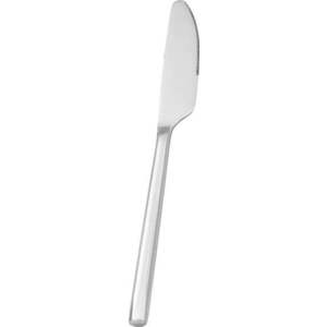 Nerezový jídelní nůž Nirosta Paris obraz