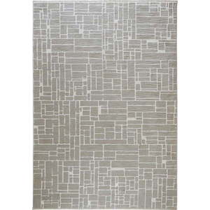 Šedo-béžový koberec 60x110 cm Jaipur – Webtappeti obraz