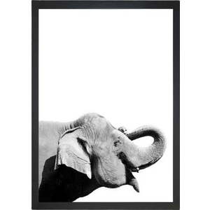 Plakát 24x29 cm Damarion Elephant – Tablo Center obraz