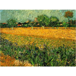 Reprodukce obrazu Vincenta van Gogha - View of arles with irises in the foreground, 40 x 30 cm obraz
