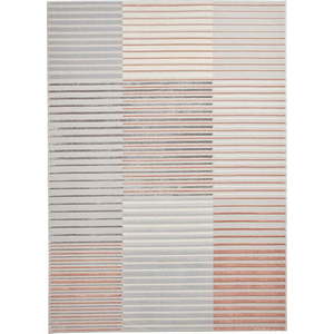 Růžovo-světle šedý koberec 80x150 cm Apollo – Think Rugs obraz