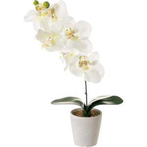 Umělá rostlina (výška 45 cm) Orchid – Casa Selección obraz