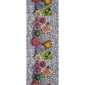 Předložka Universal Sprinty Cactus, 52 x 100 cm obraz