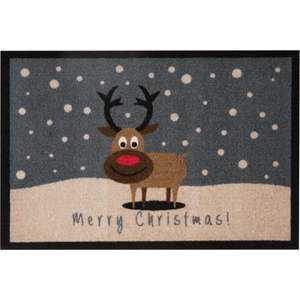 Rohožka Hanse Home Merry Christmas Reindeer, 40 x 60 cm obraz