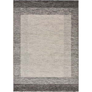 Šedý koberec 80x150 cm Delta – Universal obraz