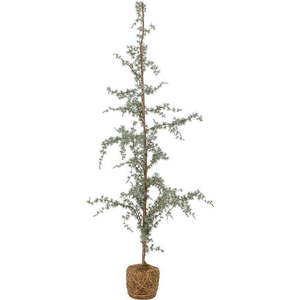Umělý vánoční stromeček výška 150 cm Vita – Bloomingville obraz