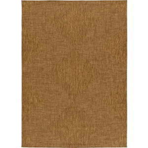 Hnědý venkovní koberec 120x170 cm Guinea Natural – Universal obraz