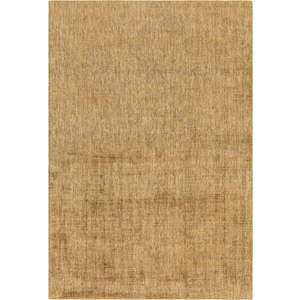 Žlutý koberec 170x120 cm Aston - Asiatic Carpets obraz