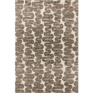 Krémovo-zelený koberec 160x230 cm Mason – Asiatic Carpets obraz