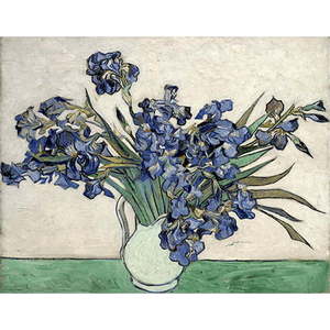 Reprodukce obrazu Vincenta van Gogha - Irises 2, 40 x 26 cm obraz