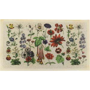 Rohožka 40x70 cm Botanicals – Artsy Doormats obraz