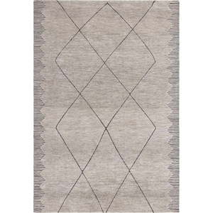 Světle šedý koberec 120x170 cm Mason – Asiatic Carpets obraz