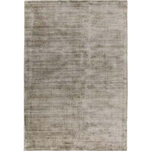Hnědý koberec 170x120 cm Blade - Asiatic Carpets obraz