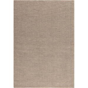 Světle hnědý koberec 120x170 cm Global – Asiatic Carpets obraz