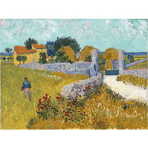 Reprodukce obrazu Vincenta van Gogha - Farmhouse in Provence, 40 x 30 cm obraz