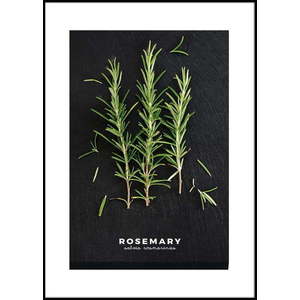 Plakát v rámu 50x70 cm Rosemary – Styler obraz