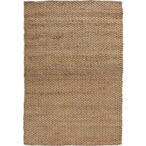 Jutový koberec v přírodní barvě 200x290 cm Sol – Flair Rugs obraz