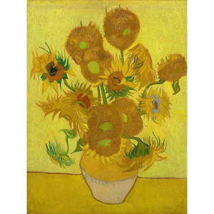 Obraz - reprodukce 50x70 cm Sunflowers, Vincent van Gogh – Fedkolor obraz