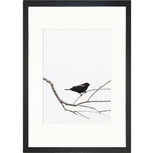 Plakát 24x29 cm Bird on the Branch – Tablo Center obraz