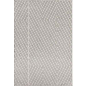 Světle šedý koberec 160x230 cm Muse – Asiatic Carpets obraz