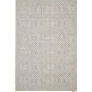 Světle šedý vlněný koberec 160x230 cm Dive – Agnella obraz